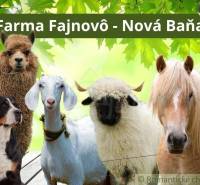 Auf dem Bauernhof Fajnovo in Nová Baňa gibt es ein Alpaka, einen Hund, eine Ziege, ein Schaf und ein Pferd.