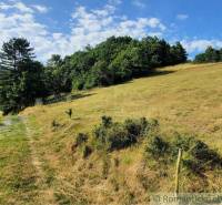 Hügeliges Gelände mit einem Weg, Grasflächen und Bäume in Žarnovica, Záhrady.