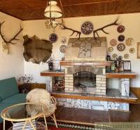 Das Innere der Hütte mit Jagddekor, Kamin und Fell spiegelt den besonderen Charme der Immobilie wider.