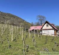 Ein Haus mit rotem Dach, umgeben von Weinbergen, Hügel am Horizont. Ungewöhnliche Immobilien.