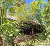 Eine alte Holzhütte in Liptovský Mikuláš, umgeben von dichtem Wald und Grün.