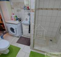 Badezimmer in einem Einfamilienhaus mit Dusche und Waschmaschine, daneben befindet sich eine Toilette.