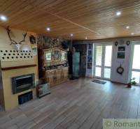 Wohnzimmer in einem Einfamilienhaus, helle Holzdecken, Kamin, Vitrine, Jagdtrophäen.