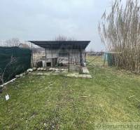 Ein Garten mit einem Gartenhaus, Rasen und einem Steinweg.