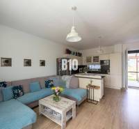 Innenraum eines Einfamilienhauses mit Küche, Sofa und Dekorationen in gemütlicher Anordnung.