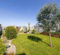 Ein Garten bei einem Einfamilienhaus in Stupava mit gepflegtem Rasen, Baum und Dekorationen.