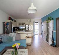 Wohnzimmer mit Küchenzeile, Ecksofa und dekorativer Vase in einem Einfamilienhaus.