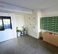 Eingangsbereich einer 2-Zimmer-Wohnung mit Briefkästen und Pflanzen im Flur.