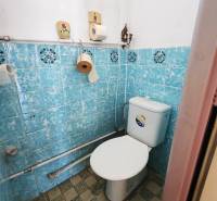 Ein Badezimmer in einem Einfamilienhaus mit blauen Fliesen und einer Toilette.