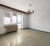 Ein unmöbliertes Zimmer mit einem Heizkörper und einem Kronleuchter in einem Einfamilienhaus, mit Blick durch ein großes Fenster.