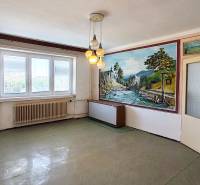 Ein Zimmer in einem Einfamilienhaus mit einem Fenster, einem Heizkörper und einem Wandgemälde einer Landschaft.