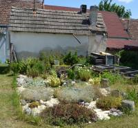 Ein Garten bei einem älteren Haus mit Vegetation und Kiesbeeten in Borský Svätý Jur.