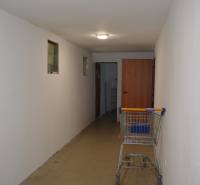 Ein enger Innenraum von Geschäftsräumen mit einem Einkaufswagen und Beleuchtung an der Decke.
