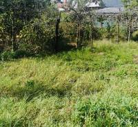 Garten beim Einfamilienhaus in Sobrance mit Gras und Bäumen.