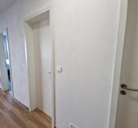 Flur in einer 2-Zimmer-Wohnung, weiße Türen und Holzboden, moderne Möbel im Hintergrund.