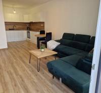 Wohnzimmer mit Küchenzeile, Sofa und Holzboden in einer 2-Zimmer-Wohnung.
