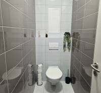 Badezimmer mit Toilette in einer 2-Zimmer-Wohnung, mit dunkelgrauen Fliesen an den Wänden.