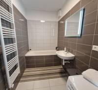 Ein Badezimmer in einer 2-Zimmer-Wohnung mit einer Badewanne, einem Waschbecken, einem Spiegel und einem Handtuchheizkörper.