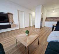Wohnzimmer und Küche in einer Zweizimmerwohnung mit Holzboden und einem Fernseher an der Wand.