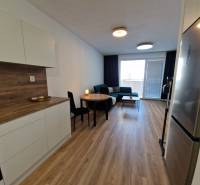 Küche und Wohnbereich in einer 2-Zimmer-Wohnung mit Holzboden und Sofa.