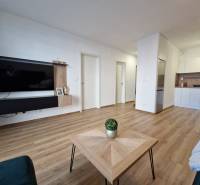 Wohnzimmer in einer 2-Zimmer-Wohnung mit Fernseher, Holzboden und Küchenzeile.