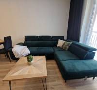 Ein bequemes Sofa in einer 2-Zimmer-Wohnung mit einem Holztisch und einer Zimmerpflanze.
