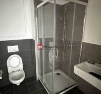 Badezimmer mit Toilette, Dusche und Waschbecken in einer 2-Zimmer-Wohnung.