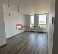 Geräumiges Zimmer in einer 2-Zimmer-Wohnung mit großen Fenstern und Laminatboden.