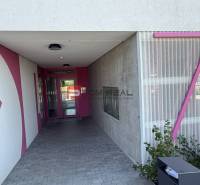 Eingang zum Gebäude in der Labutia-Straße in Bratislava V mit rosa Elementen.