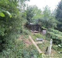 Ein überwucherter Garten bei einem Einfamilienhaus in Branč, umgeben von dichten Bäumen und Sträuchern.