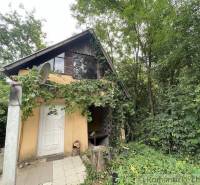 Ein Einfamilienhaus in Branč, umgeben von Bäumen, mit Weinreben an der Fassade und einer Satellitenschüssel.