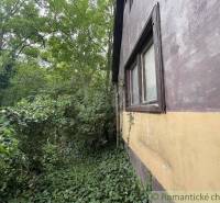 Ein Einfamilienhaus in Branč, umgeben von dichtem Bewuchs und grünen Pflanzen.