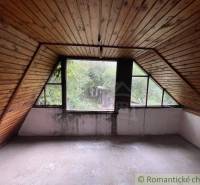 Ein Dachzimmer mit Holzverkleidung und Blick auf den Garten in einem Einfamilienhaus.
