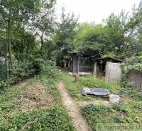 Ein überwucherter Garten bei einem Einfamilienhaus in Branč mit einer alten Holzhütte.