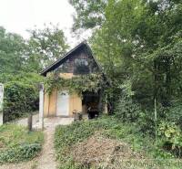 Ein Einfamilienhaus in Branč, umgeben von grüner Natur, Bäumen und Sträuchern.