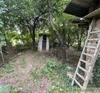 Der Garten des Einfamilienhauses in Branč mit einem Pavillon, einer Holzleiter und dichtem Baumbewuchs.