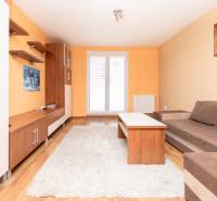 Wohnzimmer in einer Zweizimmerwohnung mit Sofa, Möbeln und einem Bild an der Wand.