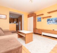 Wohnzimmer in einer 2-Zimmer-Wohnung mit Sofa, Möbeln und Blick in die Küche.