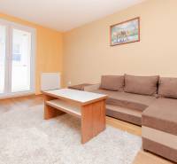 Wohnzimmer in einer Zweizimmerwohnung mit braunem Sofa, Tisch und FENSTER zum Balkon.