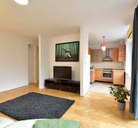 Wohnzimmer mit Fernseher und Küchenzeile in einer 2-Zimmer-Wohnung mit Holzboden.