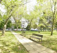 Park in Bratislava - Ružinov, Smolnícka, Bäume, Bänke und Gehweg, Atmosphäre der Entspannung.