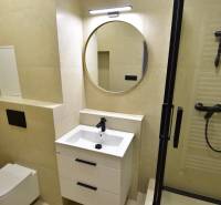 Badezimmer in einer 2-Zimmer-Wohnung mit Waschbecken, Spiegel und Duschkabine.