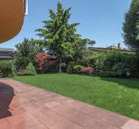 IMG_8605.jpeg