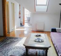 Wohnzimmer in einer 2-Zimmer-Wohnung mit Dachfenster, Sofa und Teppich.