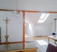 Wohnzimmer in einer Zweizimmerwohnung mit Dachfenster, Sessel und Holzkleiderständer.