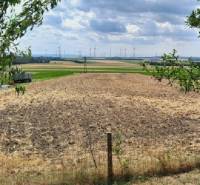 Blick von Hundsheim: ein Feld, umgeben von Bäumen und Windkraftanlagen in der Ferne.