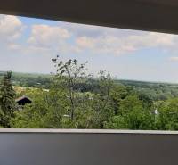 Blick von der Villa auf das Grün und den Himmel in Hainburg an der Donau.