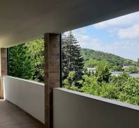 Blick von der Terrasse der Villa auf das Grün und die umliegende Natur in Hainburg an der Donau.