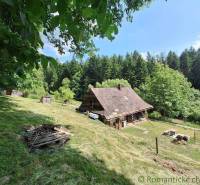 Eine Hütte in Zákopčí, umgeben von Wäldern, mit Holzkonstruktionen und einer Feuerstelle auf einer grasbewachsenen Wiese.