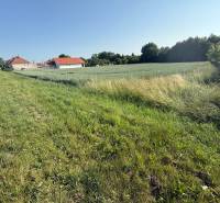 Grünlandflächen zum Wohnen in Bojná; Häuser, Felder und Straße neben dem Wald.